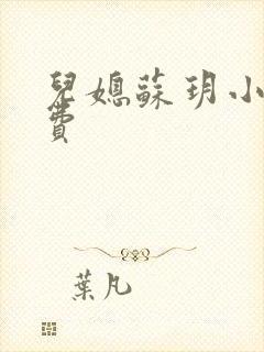 儿媳苏玥小说免费