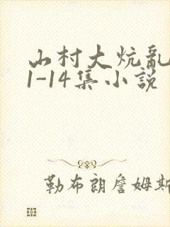 山村大炕乱肉续1-14集小说