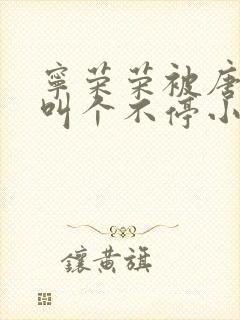 宁荣荣被唐三桶叫个不停小说