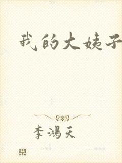 我的大姨子封面