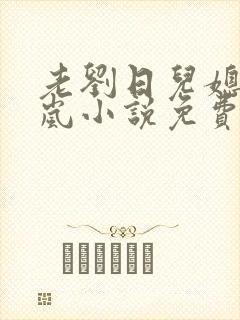 老刘日儿媳妇张岚小说免费阅读