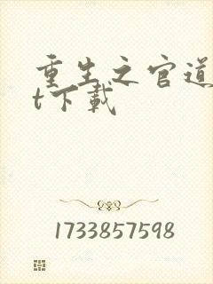 重生之官道txt下载