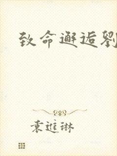 致命邂逅刘小寐