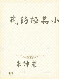 我的极品小姨封面