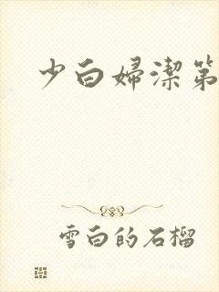 少白妇洁第二部