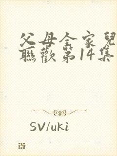 父母全家儿女大联欢第14集封面