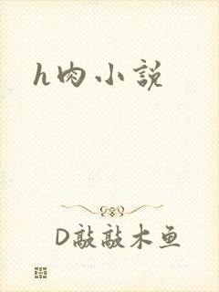 h肉小说