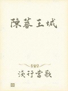 陈蓉王城封面