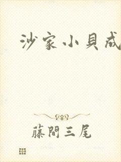 沙家小贝成长记封面