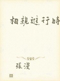 相亲进行时封面