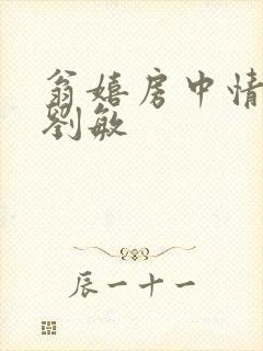 翁嬉房中情意浓刘敏封面