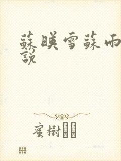 苏映雪苏雨柔小说封面