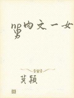 np肉文一女多男