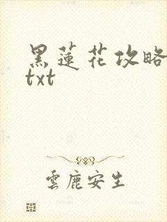 黑莲花攻略手册txt