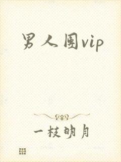 男人团vip