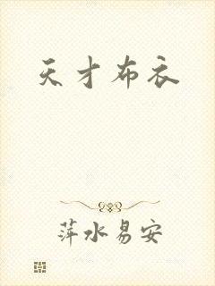 天才布衣封面