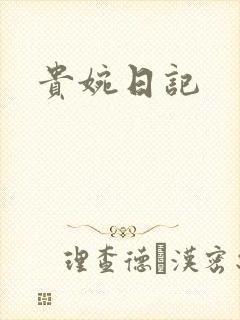 贵婉日记封面