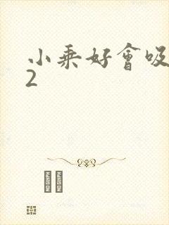 小乘好会吸1V2封面