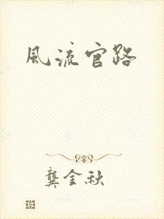 风流官路
