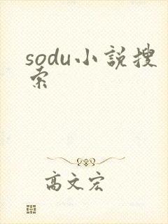 sodu小说搜索