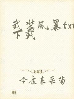 武装风暴txt下载封面