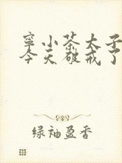 宁小茶太子殿下今天破戒了吗免费阅读