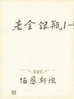 老金银瓶1-5封面