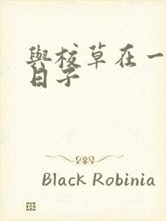 与校草在一起的日子