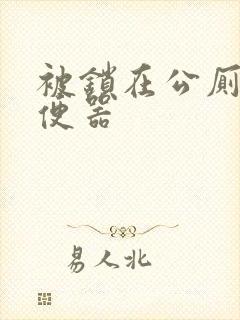 被锁在公厕当坐便器