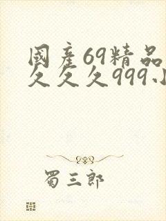 国产69精品久久久久999小说