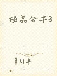 极品公子3
