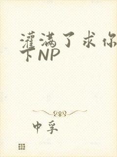 灌满了求你们停下NP