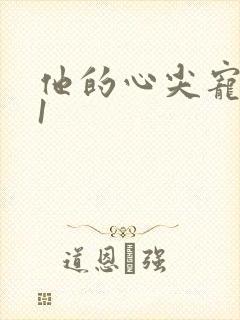 他的心尖宠1v1封面