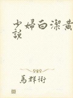 少妇白洁黄色小说