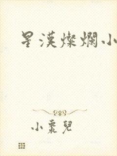 星汉灿烂小说