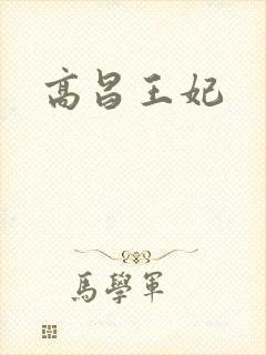 高昌王妃封面