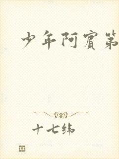 少年阿宾第二部