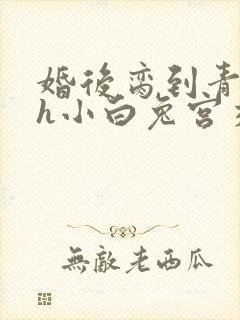 婚后脔到青梅哭h小白兔宫交h封面
