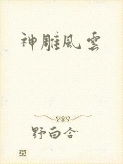 神雕风云
