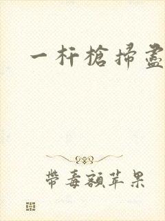 一杆枪扫尽全家