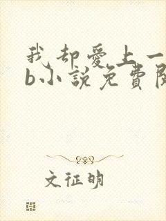 我却爱上一个sb小说免费阅读无弹窗封面
