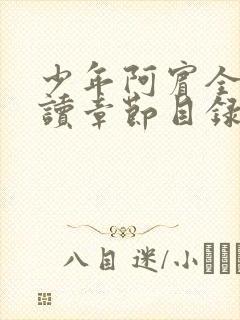 少年阿宾全文阅读章节目录