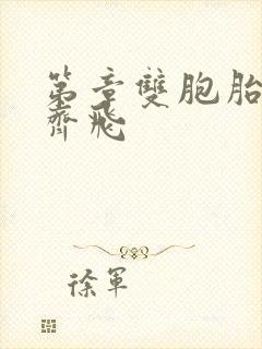 第章双胞胎姐妹齐飞