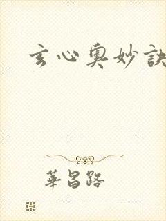 玄心奥妙诀封面