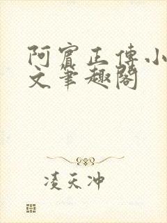 阿宾正传小说全文笔趣阁