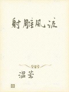 射雕风流