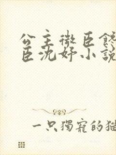 公主微臣馋了微臣沈妤小说