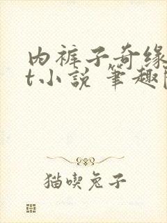 内裤子奇缘txt小说 笔趣阁