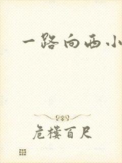 一路向西小说