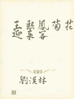 王熙凤菊花门初迎来客